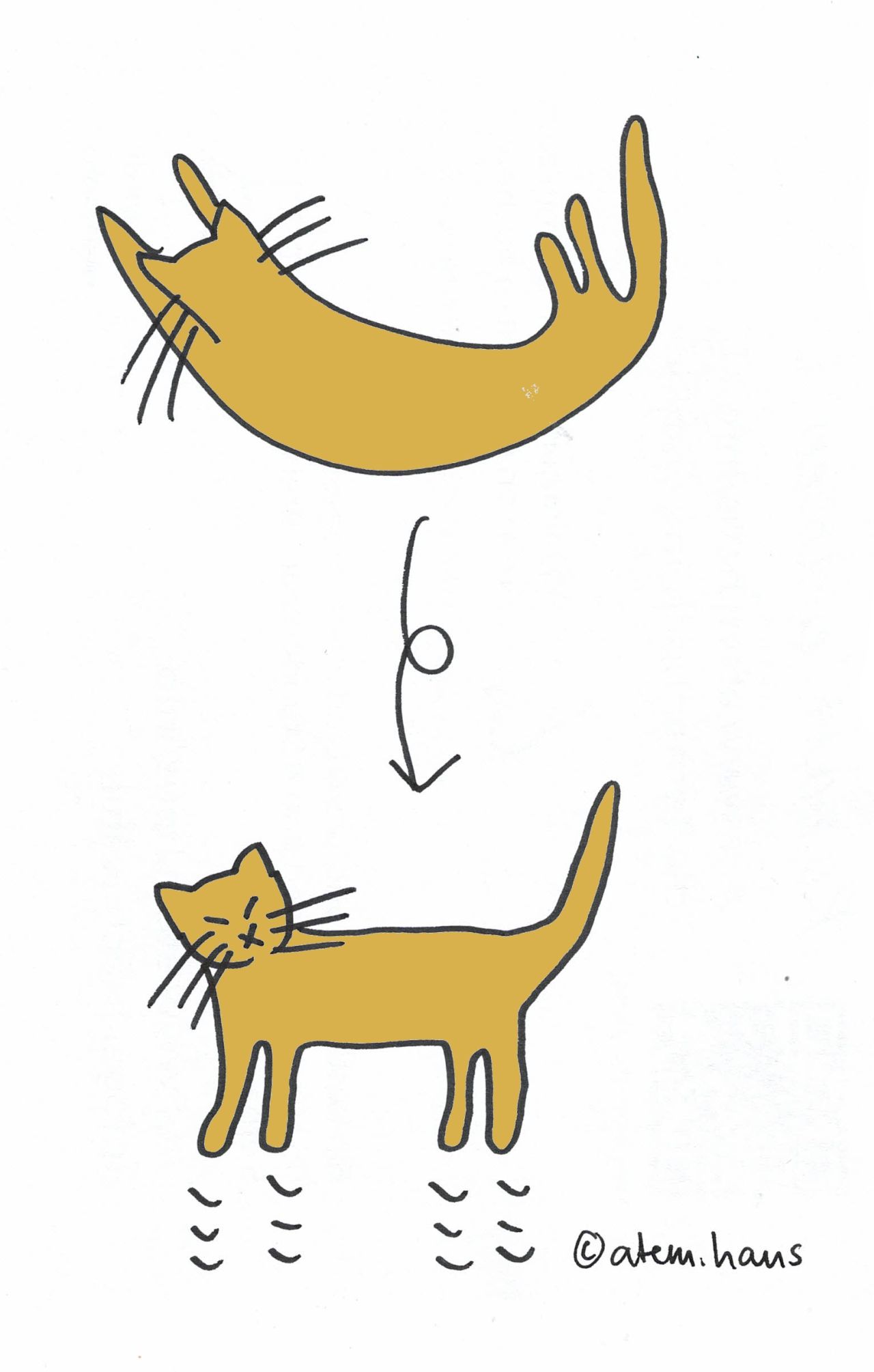 Skizze: Fallende Katze, die auf ihren Pfoten landet